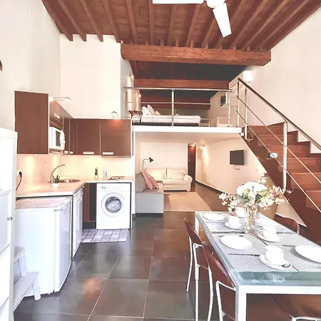 Loft Especeria Centro