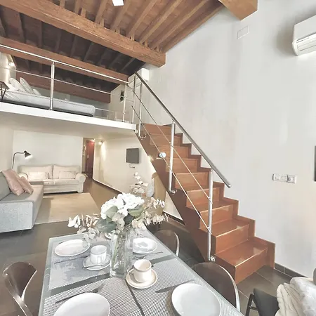 Loft Especeria Centro